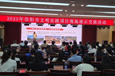 信阳市文明实践项目现场展示交流活动策划方案