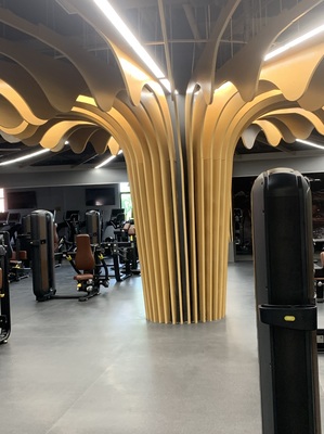 江阴市金领健身管理有限公司 以专业管理引领现代健身新风尚